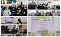 برگزاری هفتمین کاروان ترویج بهره وری  ویژه الگوی کشت ملی محصولات زراعی کشت پاییزه در استان ایلام 
